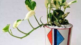 e5a335c6-7d74-4527-bfa5-2592ed7fd98c