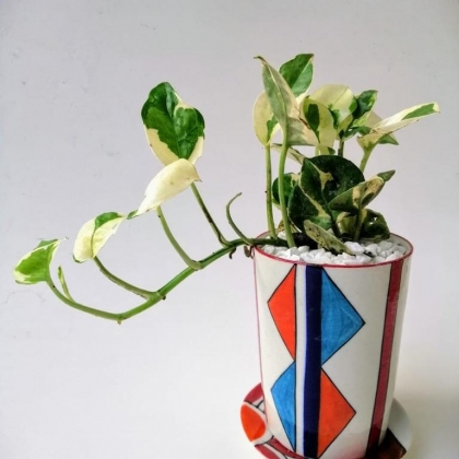 e5a335c6-7d74-4527-bfa5-2592ed7fd98c